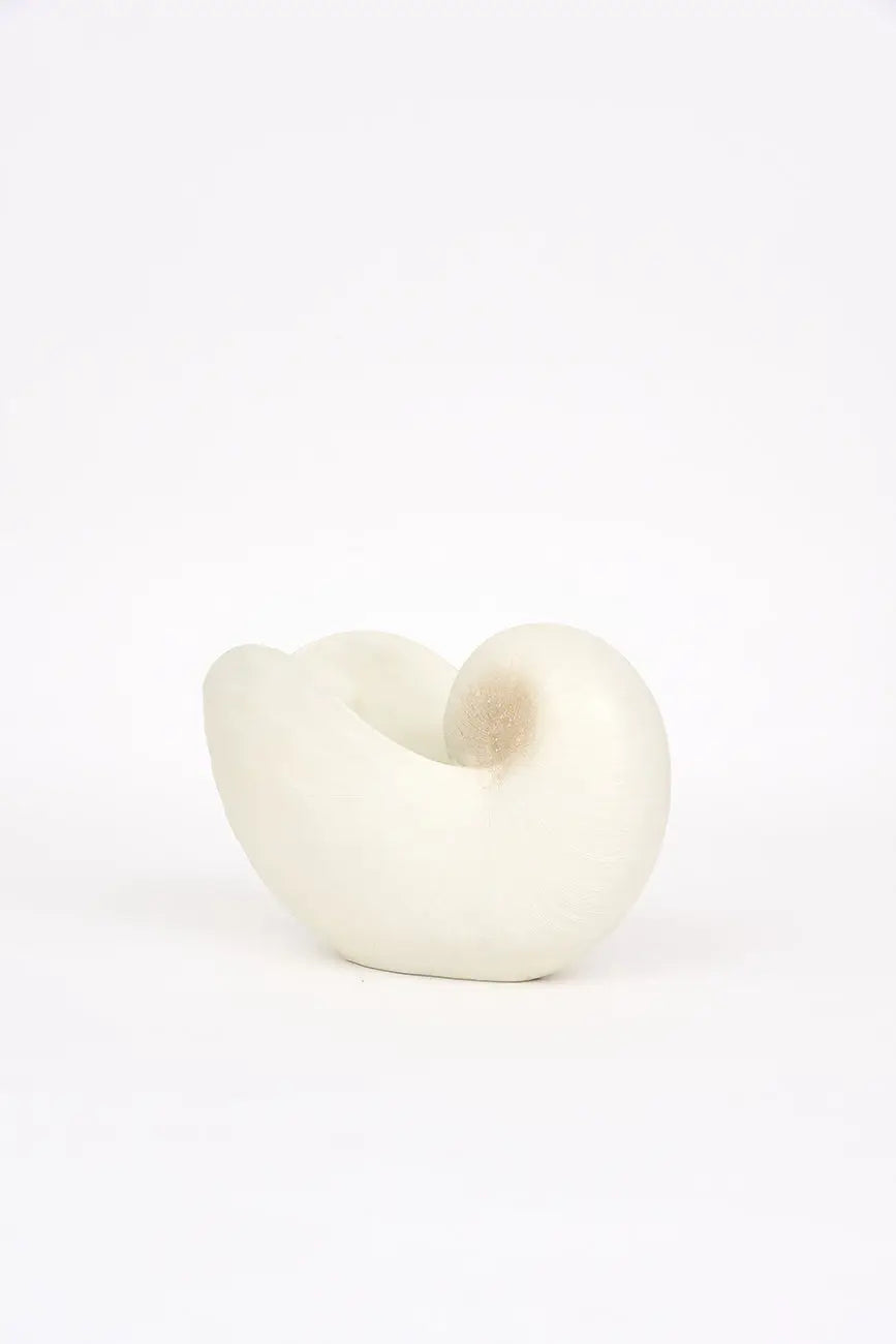 Tiesto caracola de resina - Imagen 3