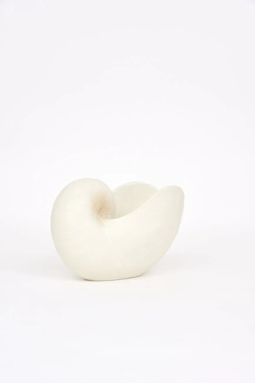 Tiesto caracola de resina - Imagen 5