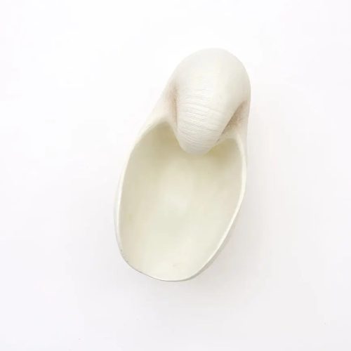 Tiesto caracola de resina