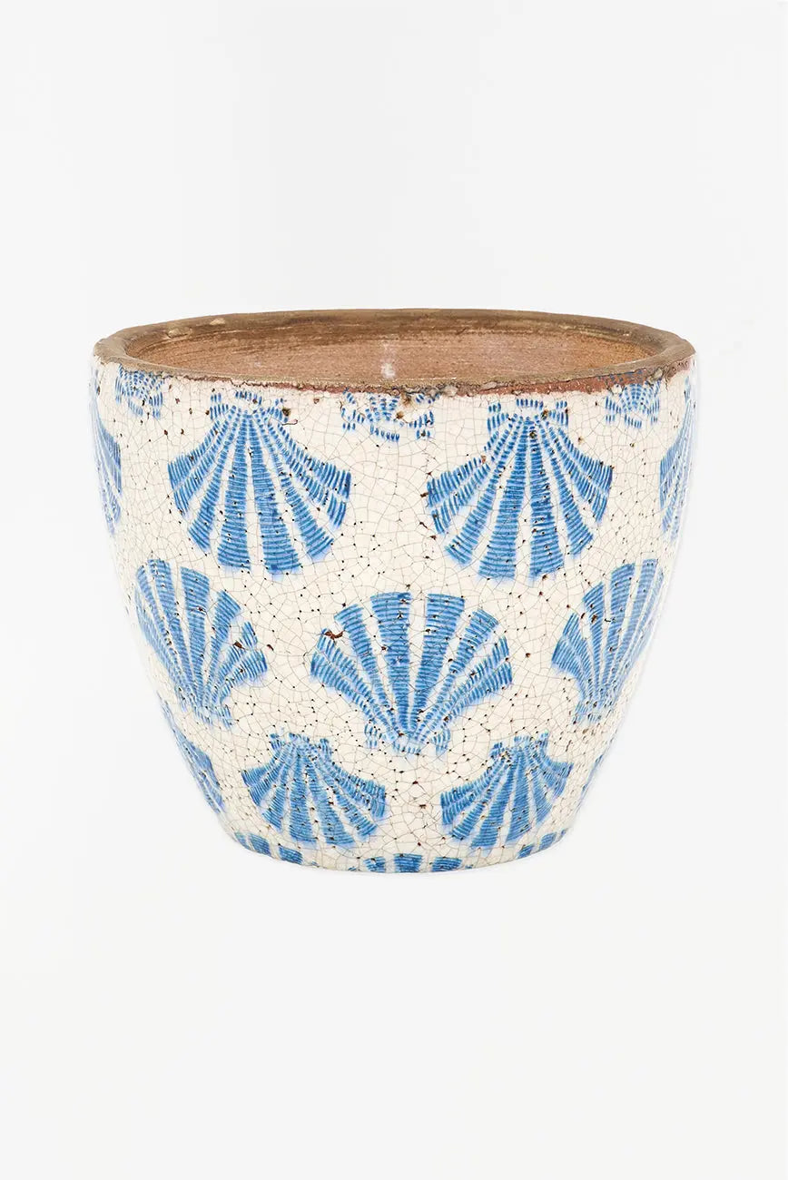 Tiesto conchas - Imagen 2