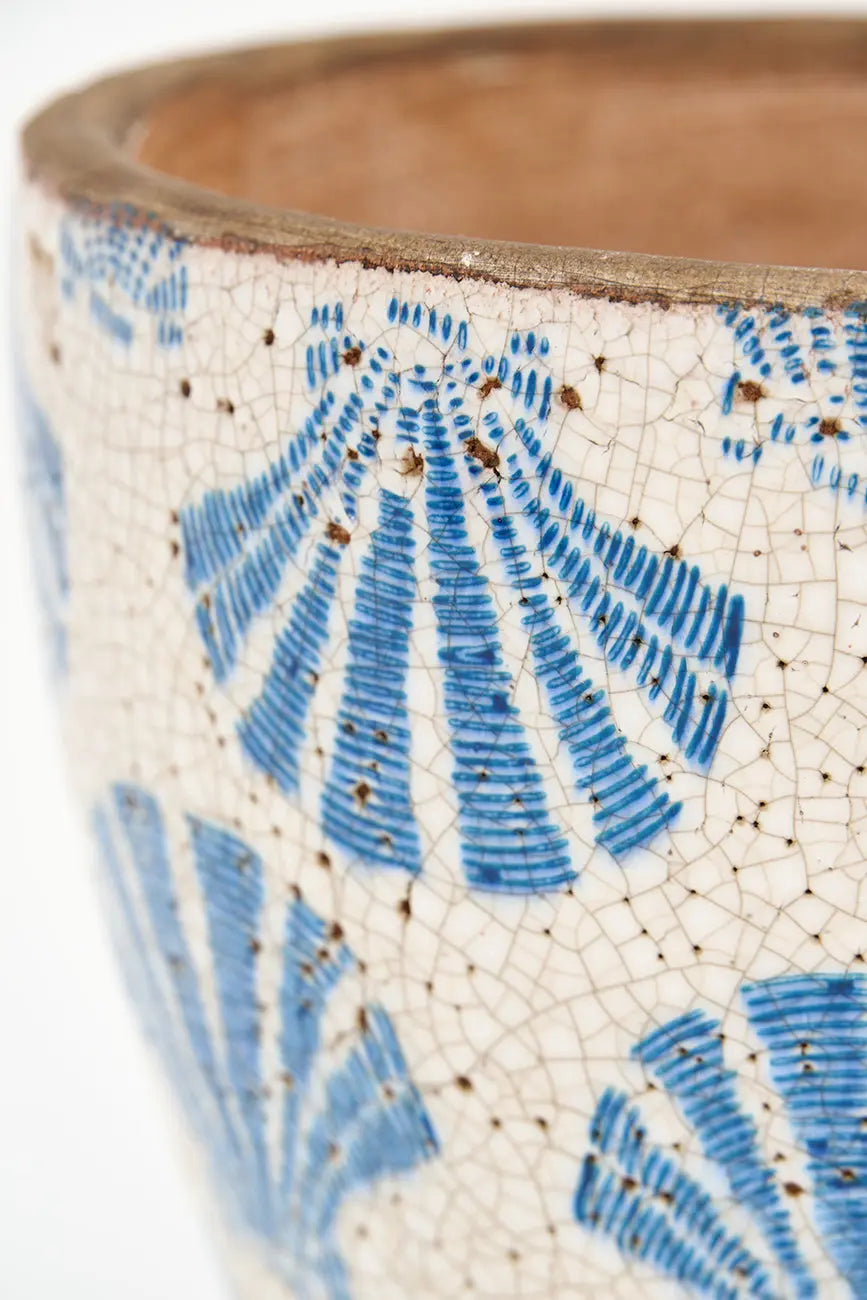 Tiesto conchas - Imagen 4