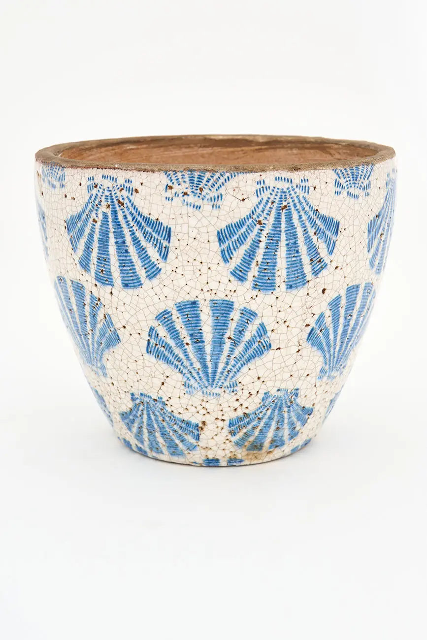 Tiesto conchas - Imagen 5