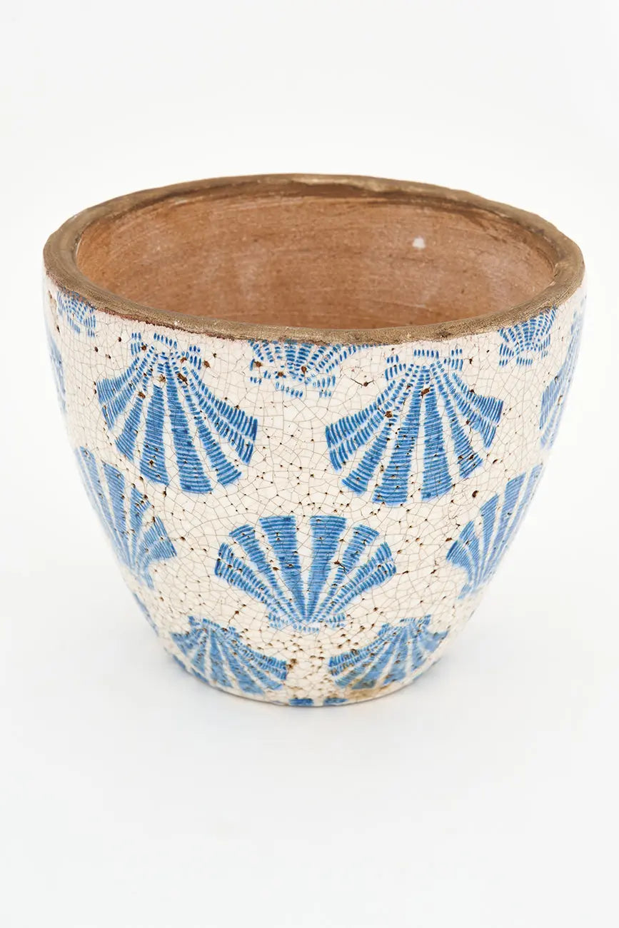 Tiesto conchas - Imagen 6