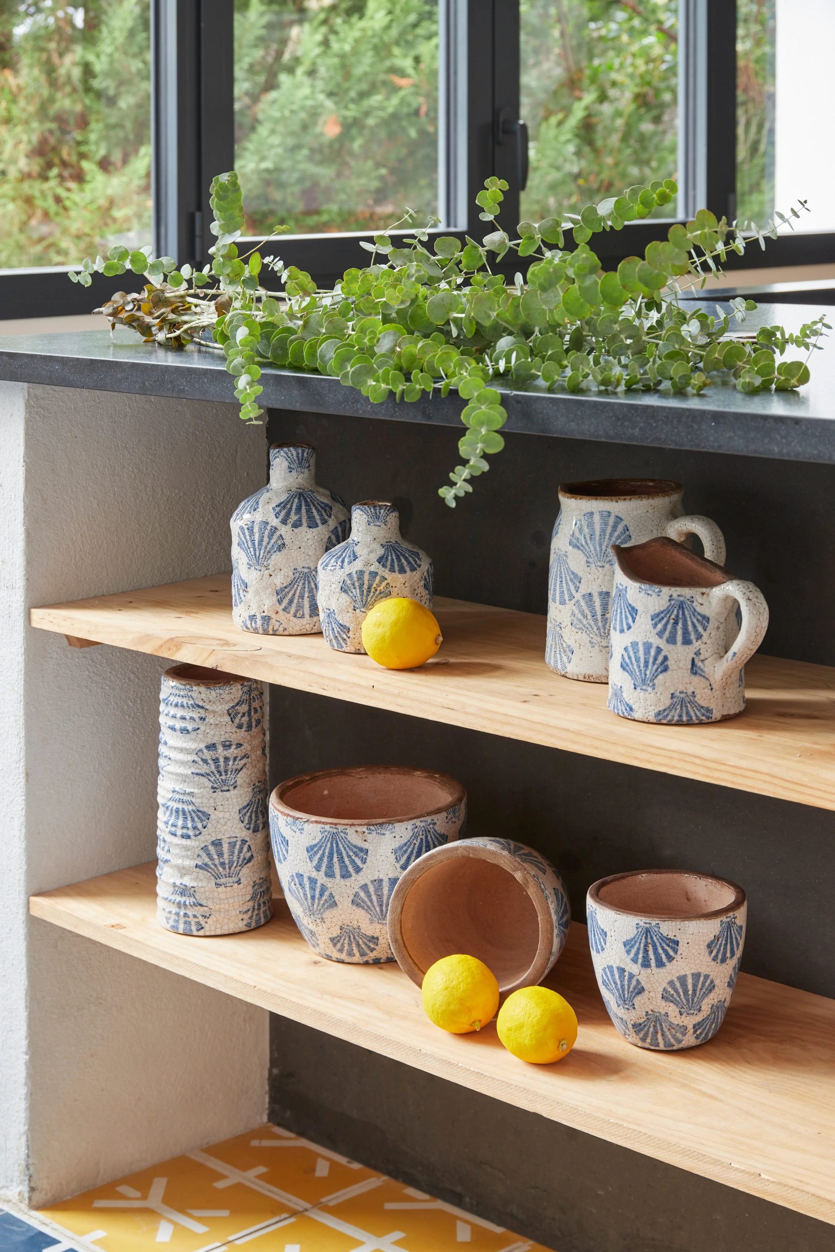 Tiesto conchas - Imagen 3