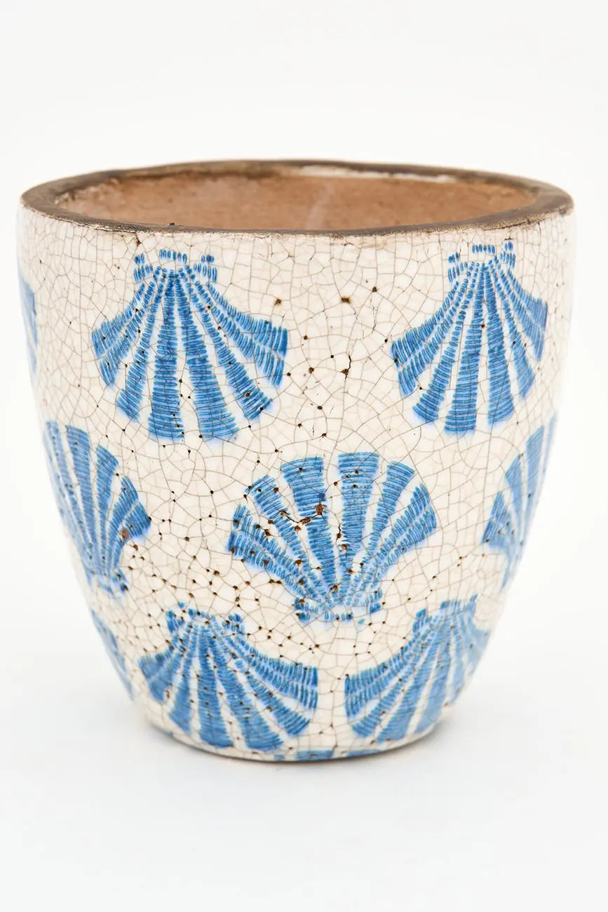 Tiesto conchas - Imagen 6