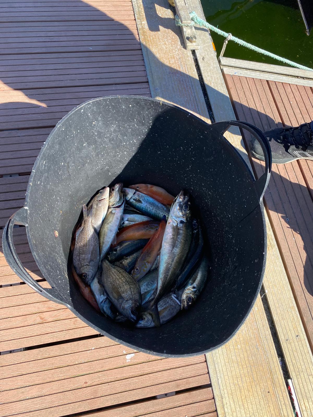 Pesca en Finisterre 1