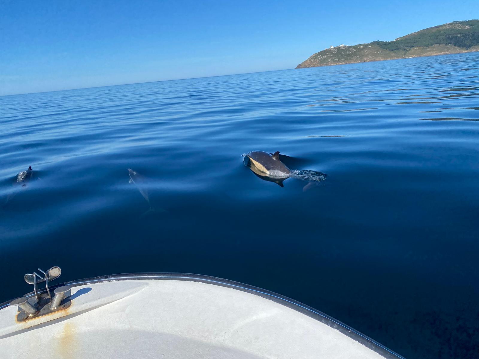 Pesca en Finisterre 2