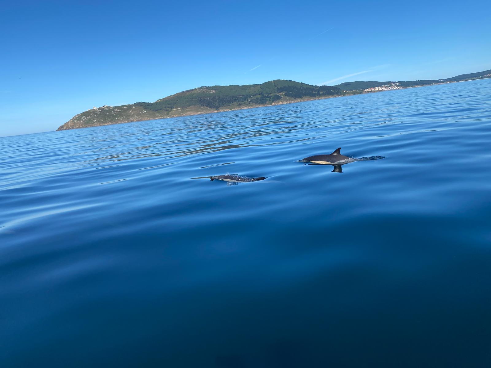 Pesca en Finisterre 3