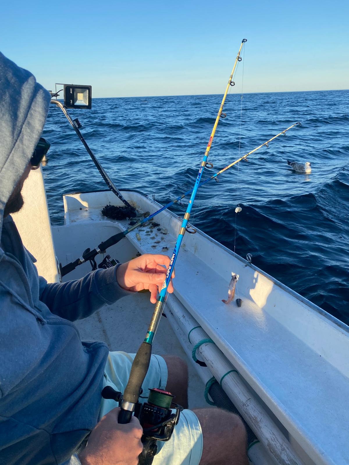 Pesca en Finisterre 4