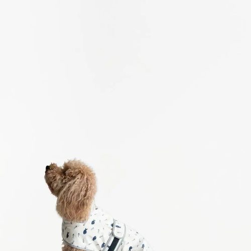 Capa para mascota, talla s