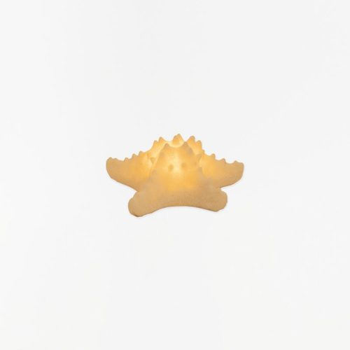 Lámpara estrella de mar a pilas